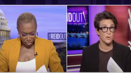 Rachel Maddow Says Trump Doesn't Believe Elections Are a 'Real Thing'