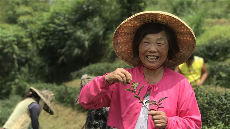 江母開心分享和土地的相處之道（圖／翻攝自《晶彩大人物》）