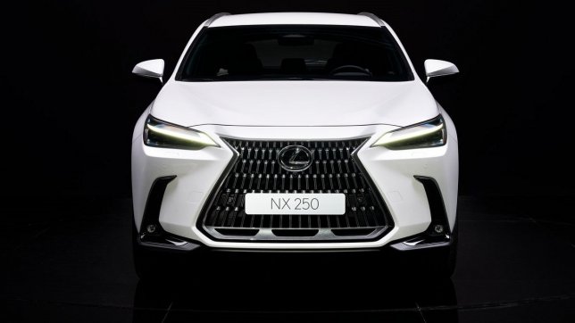 2025 Lexus NX 250頂級版