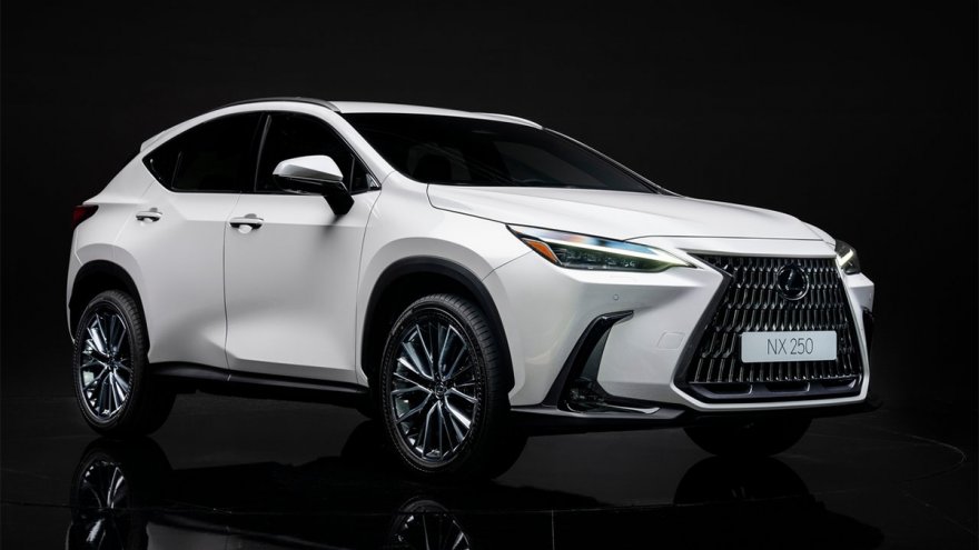 2025 Lexus NX 250豪華版