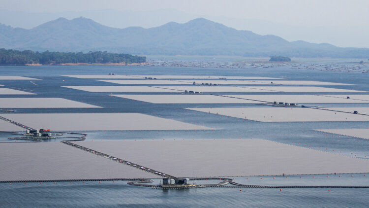 Floating solar panels on a lake in Indonesia.