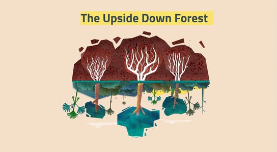 01 The upside down forest .jpg