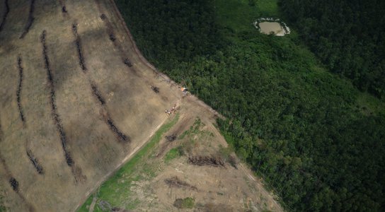 Deforestation in Para state, Amazon.jpg