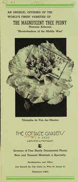 Cover of: An unusual offering of the world's finest varieties of the magnificent tree peony (paeonia arborea), "rhododendron of the Middle West"