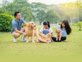 友善寵物之城 帶毛小孩暢玩台中Fun風趣！