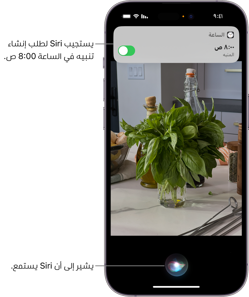 شاشة iPhone. بالقرب من الجزء العلوي من الشاشة، يوجد إشعار من تطبيق الساعة يُظهر أن هناك منبهًا مضبوطًا على الساعة 8:00 صباحًا، تشير الأيقونة الموجودة في الجزء السفلي من الشاشة إلى أن Siri يستمع.