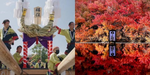 豐岡市秋季必訪景點推薦！熱血城崎祭典、靜謐賞楓大道，收穫城崎溫泉小鎮的濃濃秋意