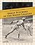 Great Pitchers of the Negro Leagues (Negro Baseball Leagues)