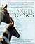 Angel Horses: Divine Messengers of Hope