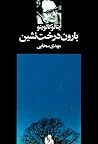 بارون درخت نشین by Italo Calvino