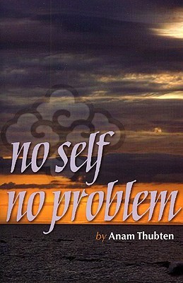 No Self No Problem by Anam Thubten