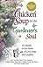 Chicken Soup for the Gardener's Soul, 101 Stories to Sow Seeds of Love, Hope and Laughter (Chicken Soup for the Soul)