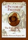 A Picture of Freedom by Patricia C. McKissack