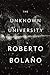 The Unknown University by Roberto Bolaño