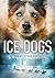 Ice Dogs