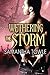 Wethering the Storm (The Storm, #2)