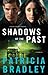 Shadows of the Past (Logan Point #1) by Patricia Bradley