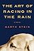 The Art of Racing in the Rain