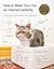 How to Make Your Cat an Internet Celebrity: A Guide to Financial Freedom