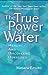 The True Power of Water: Healing and Discovering Ourselves