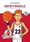 David's Miracle by A.D. Erving