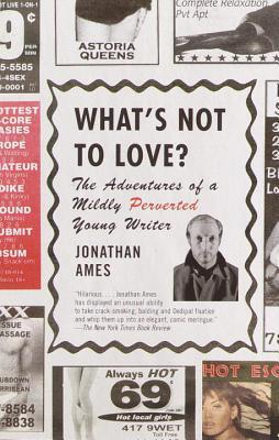 What's Not to Love? by Jonathan Ames