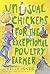 Unusual Chickens for the Exceptional Poultry Farmer (Unusual Chickens #1)