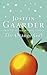 The Orange Girl by Jostein Gaarder