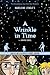 A Wrinkle in Time: The Graphic Novel