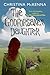 The Godforsaken Daughter (Tailorstown #3)