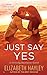 Just Say Yes (Strictly Busi...