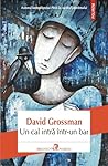 Un cal intră într-un bar by David Grossman