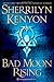 Bad Moon Rising (Dark-Hunter, #17; Were-Hunter, #4; Hellchaser, #4)