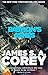 Babylon’s Ashes (The Expanse, #6)