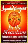 In the Meantime by Iyanla Vanzant