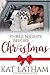 Three Nights before Christmas (Wild Montana Nights, #3)