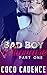 Bad Boy Billionaire - Part One (The Bad Boy Billionaire Series Book 1) (The Kings)