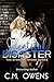 Identical Disaster (Sterling Shore, #8)