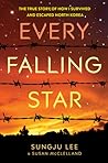 Every Falling Star by Sungju Lee