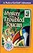 Mystery of the Troubled Toucan (Pack-n-Go Girls Brazil #1) by Lisa Travis