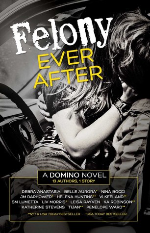 Felony Ever After by Debra Anastasia