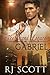 Gabriel (Legacy Ranch, #2)