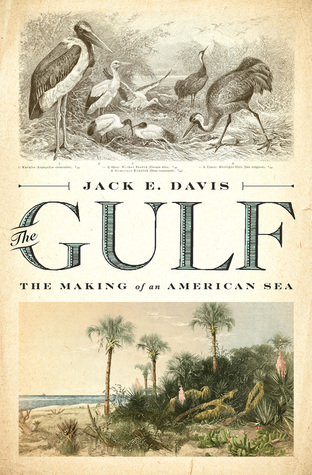 The Gulf by Jack Emerson Davis