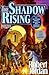 The Shadow Rising (Wheel of Time, #4) by Robert Jordan