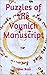 Puzzles of the Voynich Manuscript: An Illustrated Guide to the Perplexing Puzzles of MS Beinecke 408