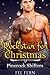 Rockstar for Christmas (Pinerock Shifters 3)