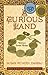 A Curious Land: Stories from Home (Grace Paley Prize in Short Fiction)