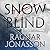 Snowblind (Dark Iceland, #1)