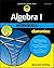 Algebra I Workbook for Dummies [with Online Access]