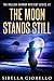 The Moon Stands Still (The Raleigh Harmon PI Mysteries, #2)